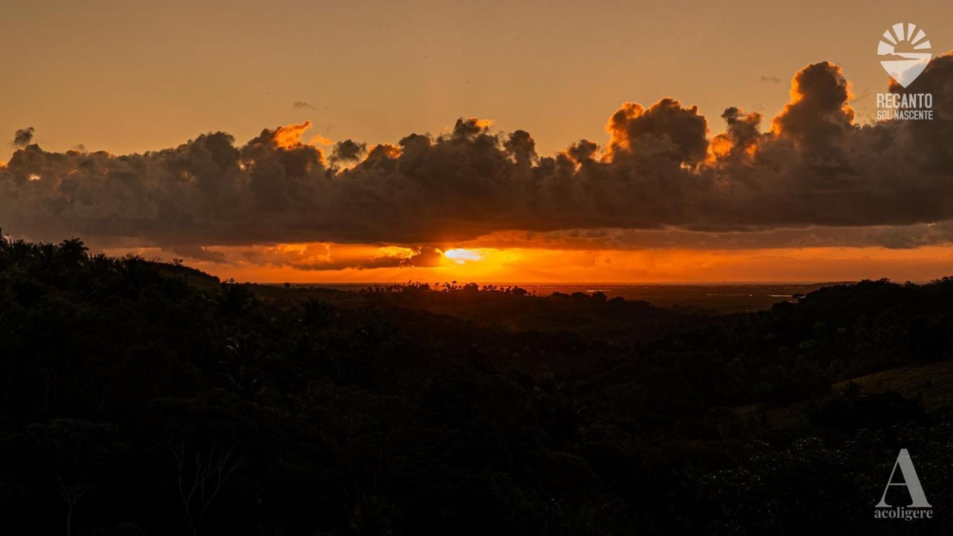 Pousada Recanto Sol Nascente, Luxo E Proximidade Com A Natureza Hotell Rio Formoso Exteriör bild