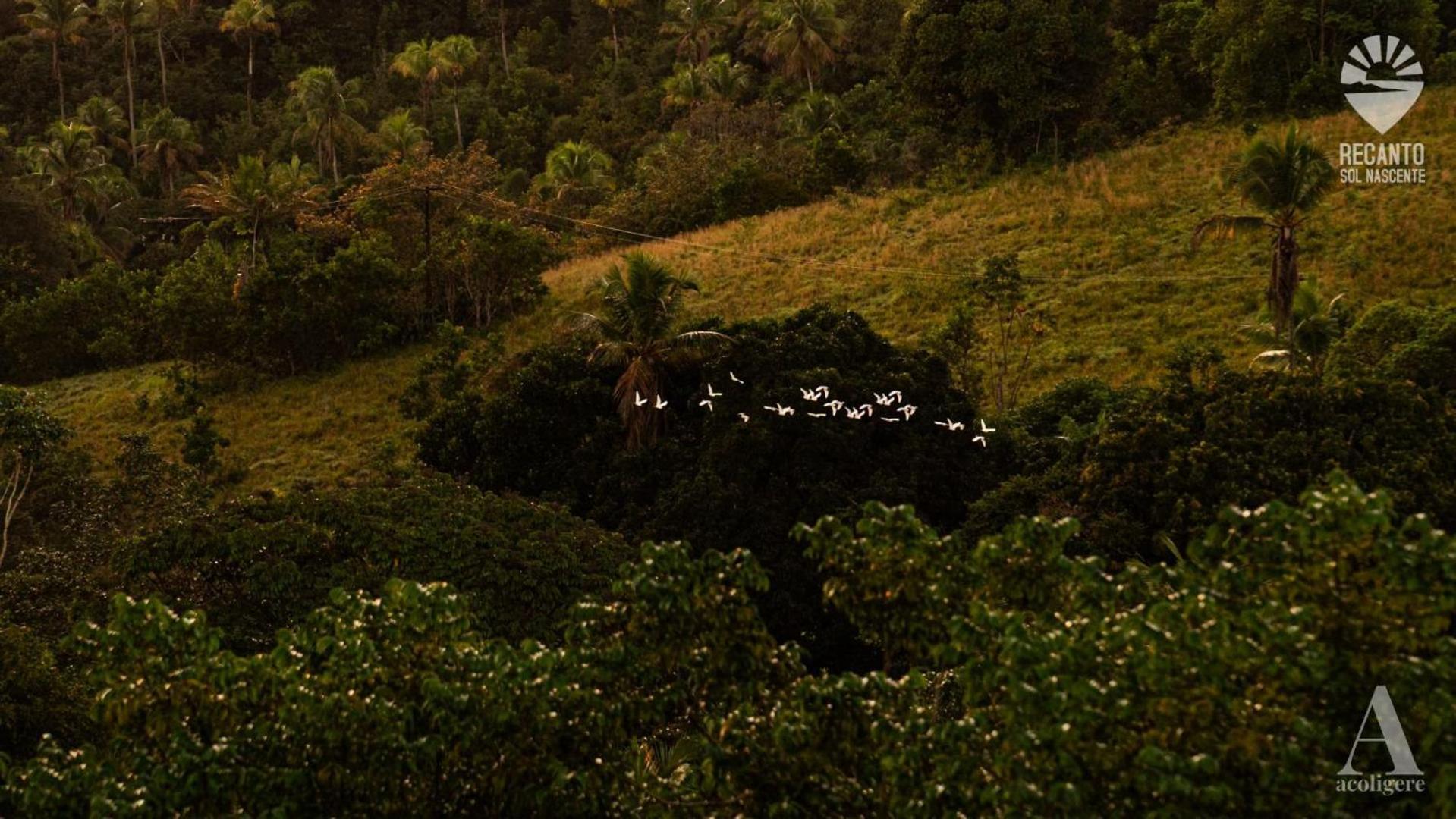 Pousada Recanto Sol Nascente, Luxo E Proximidade Com A Natureza Hotell Rio Formoso Exteriör bild