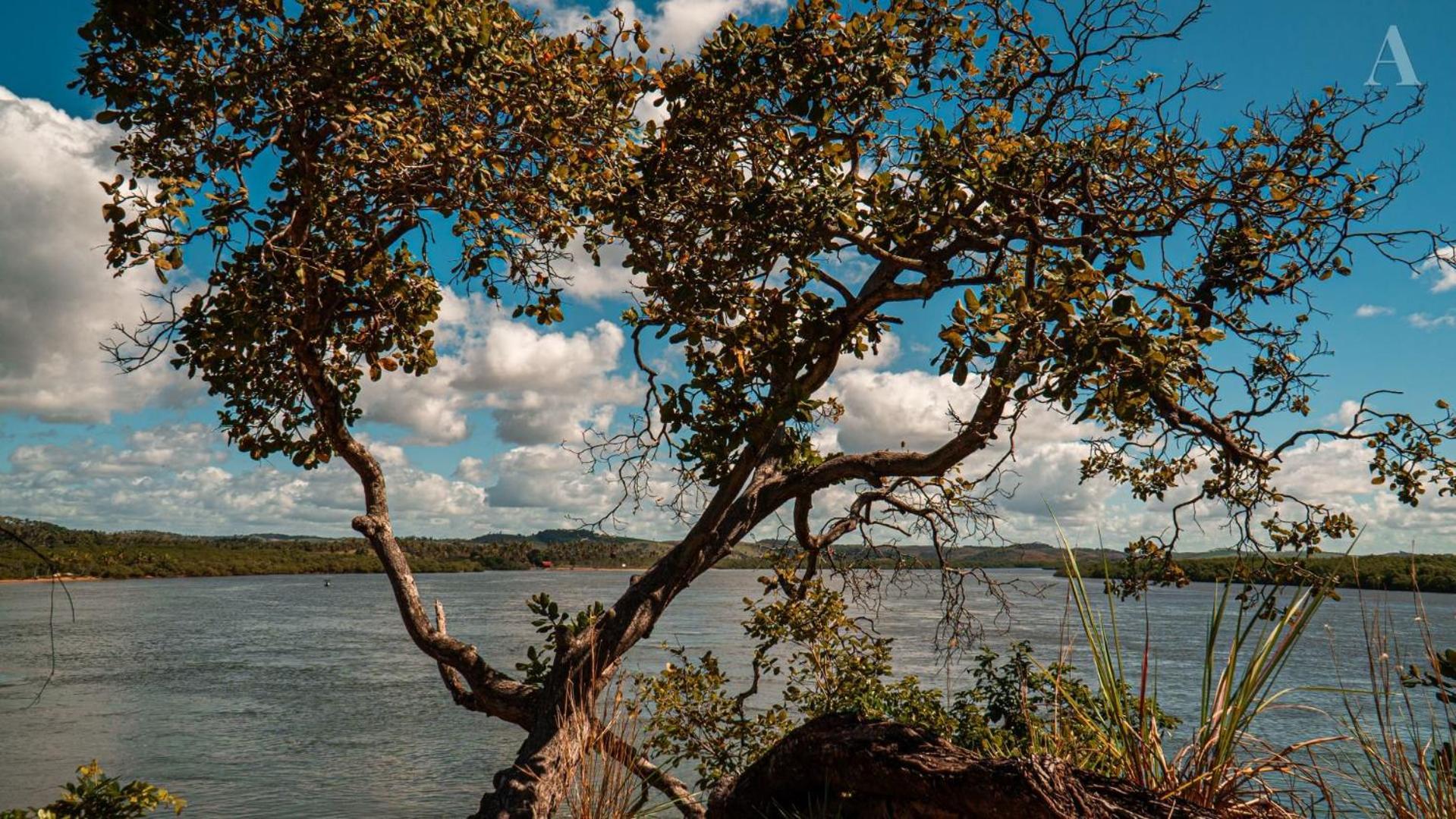 Pousada Recanto Sol Nascente, Luxo E Proximidade Com A Natureza Hotell Rio Formoso Exteriör bild