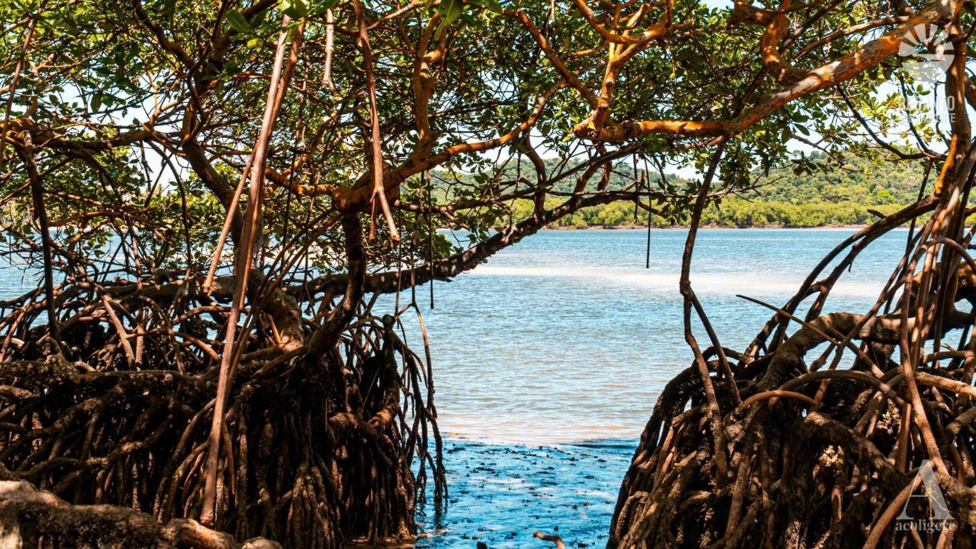 Pousada Recanto Sol Nascente, Luxo E Proximidade Com A Natureza Hotell Rio Formoso Exteriör bild