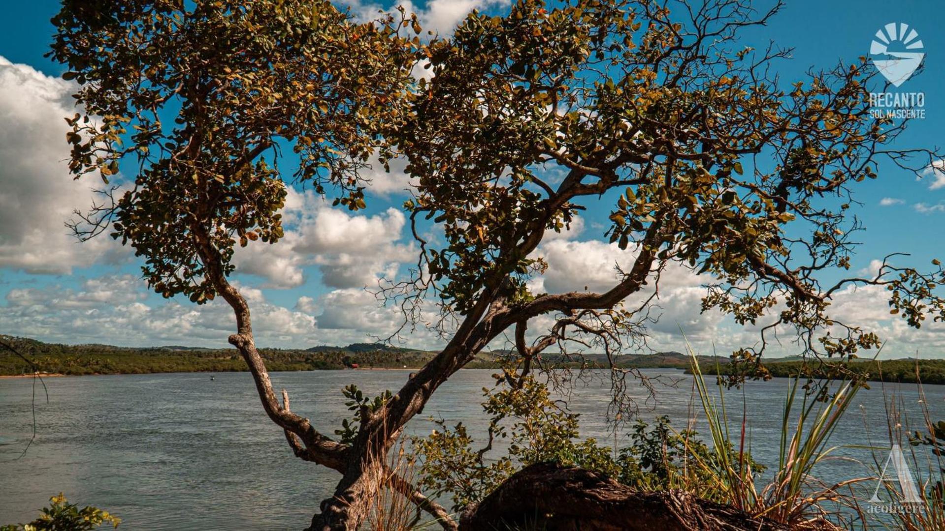 Pousada Recanto Sol Nascente, Luxo E Proximidade Com A Natureza Hotell Rio Formoso Exteriör bild